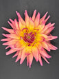 Clearview Lily