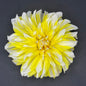 Hollyhill Lemon Ice