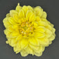 Wyn's New Pastel